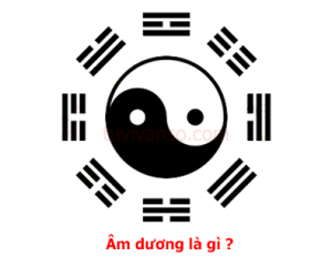 Hướng dẫn chọn màu xe ô tô theo phong thủy và hợp mệnh